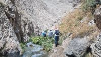 image15